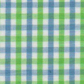 Blue and Green Check