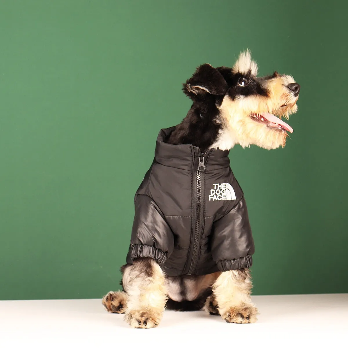 Dog Face Jacket